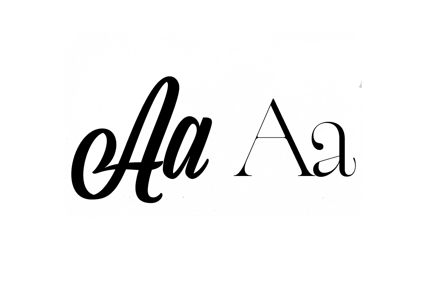 Process Asset